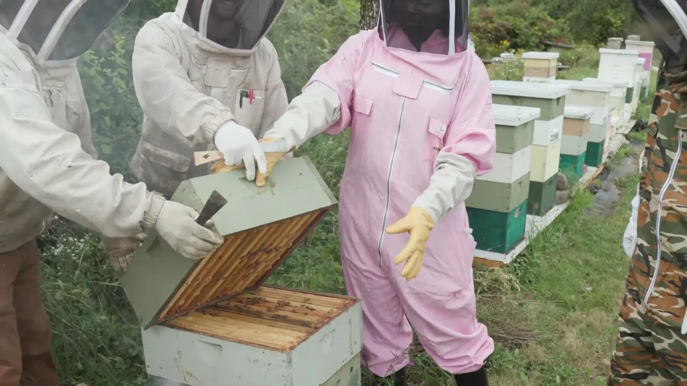 Dr. Raven Baxter in a pink beekeeping suit lifting a hive box with two beekeepers, from Nerdy Jobs Episode 2